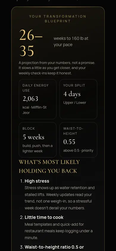 Aureum app: Blueprint with daily energy, split, block and what is most likely holding you back